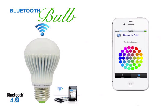 331343.jpg